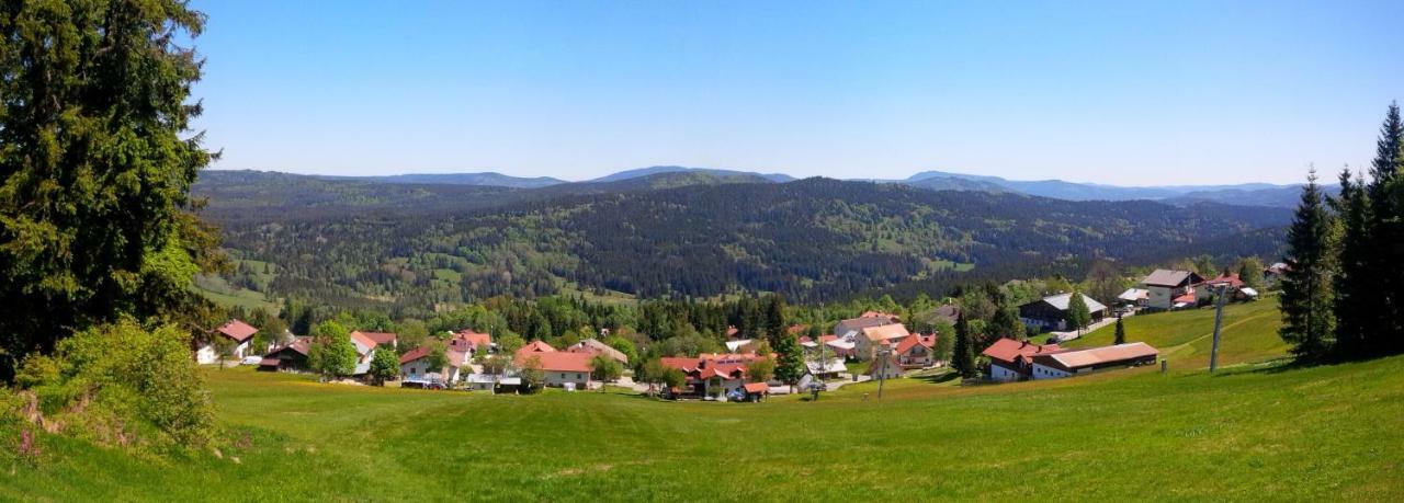 Ferienwohnung Apartman Sumava - Bavorsky Les Mitterfirmiansreut Exterior foto