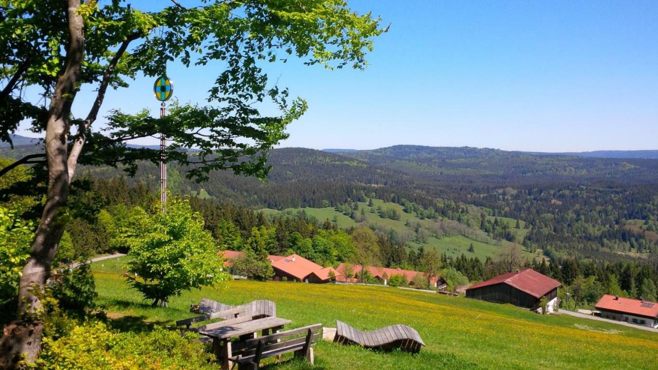 Ferienwohnung Apartman Sumava - Bavorsky Les Mitterfirmiansreut Exterior foto