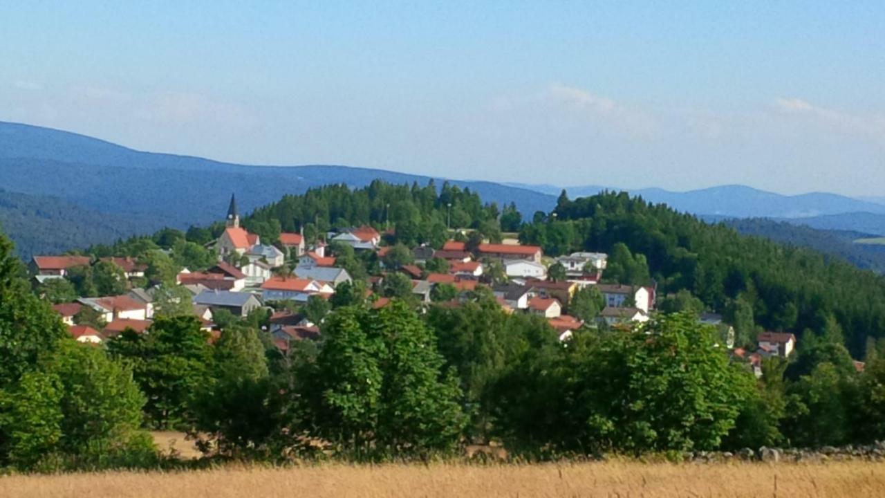 Ferienwohnung Apartman Sumava - Bavorsky Les Mitterfirmiansreut Exterior foto