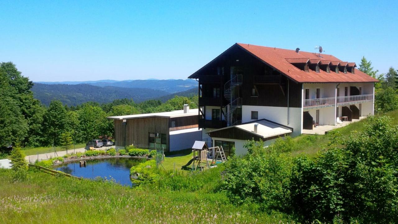 Ferienwohnung Apartman Sumava - Bavorsky Les Mitterfirmiansreut Exterior foto