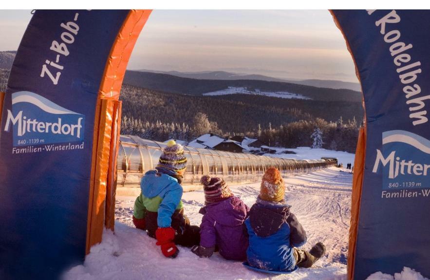 Ferienwohnung Apartman Sumava - Bavorsky Les Mitterfirmiansreut Exterior foto